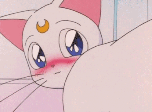 artemis sailor moon cute